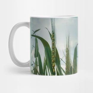 wheat crop Mug